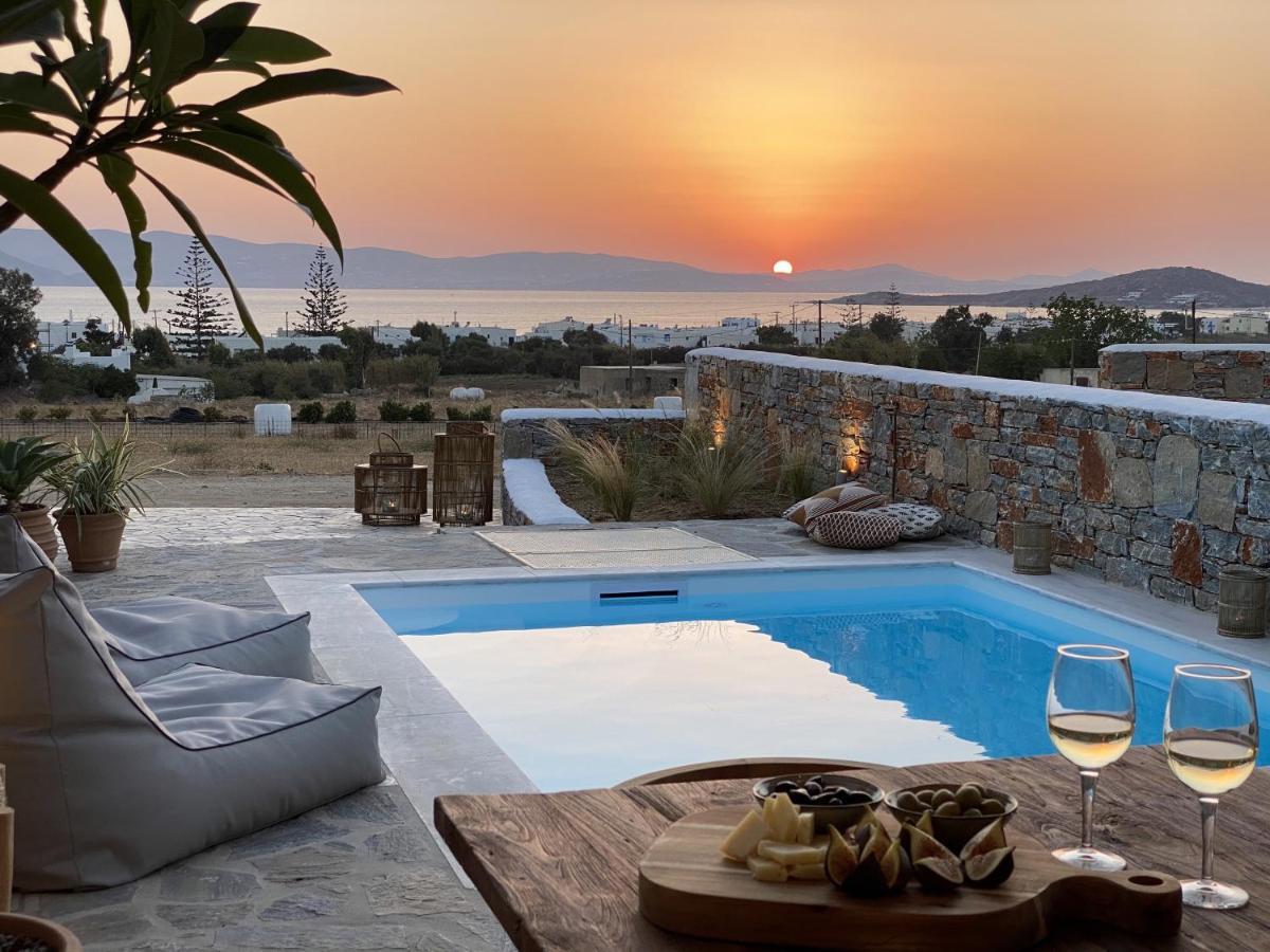 Villa Ypsilon Naxos - Luxury Holiday House With Amazing Sea View & Private Pool Agia Anna  외부 사진