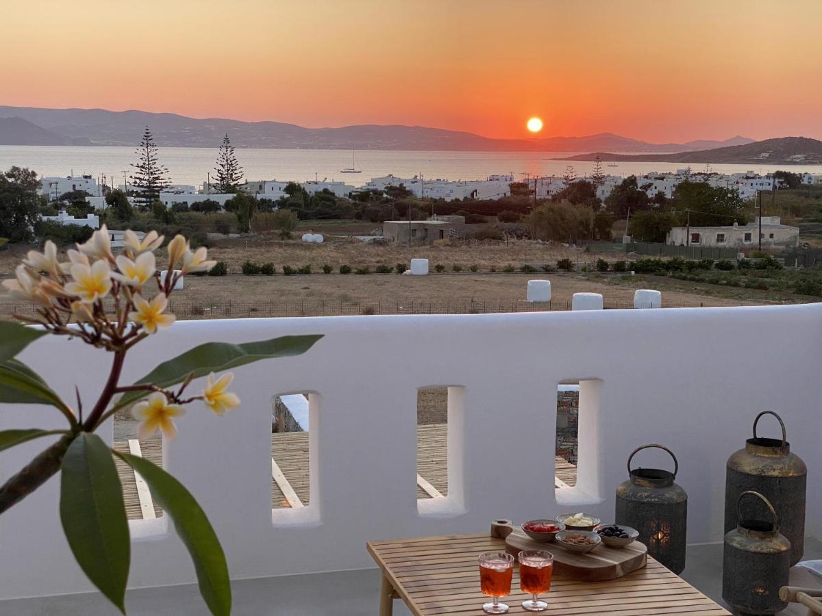 Villa Ypsilon Naxos - Luxury Holiday House With Amazing Sea View & Private Pool Agia Anna  외부 사진